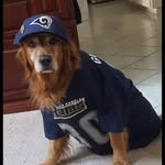 Wayne Patton - @wpatton5169 - Instagram
