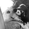 Wayne - @waynepatton52 - TikTok