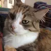 user9844852306777 - @pattywayne - TikTok