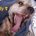Wayne Pawloski - Facebook