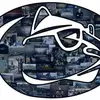 Wayne Pawlowski - @30198854937 - TikTok