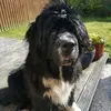 waynepaxton5 - @waynepaxton5 - TikTok