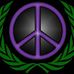 Fort Wayne For Peace - Facebook