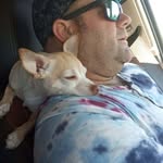 Wayne David Peachey - @wayne.peachey.94 - Instagram