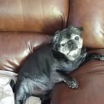 Wayne Pederson - @pedersonwayne - Instagram
