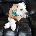 Wayne Peel - @wayne.peel.184 - Instagram