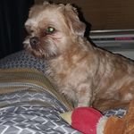 Wayne Peel - @wayne.peel.1 - Instagram