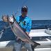 Wayne Pelno - Facebook
