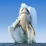 Wayne Pendergast - @waynependergast - Instagram