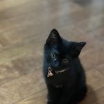 Pepper Wayne - @pepperwayne8 - Instagram