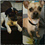 Wayne Pepperfield - @waynepepperfield - Instagram