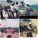 Wayne Perdue - @perdue5585 - Instagram