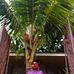 Wayne Perez - Facebook