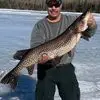 Wayne Perreault - @wayne.perreault - TikTok