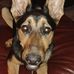 Wayne Perrett - Facebook