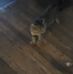 Wayne Perrigo - Facebook