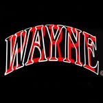 wayneperry© - @wayneperryco - Instagram