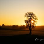 Wayne Peter - @almostlikeaphotographer - Instagram