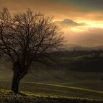 Wayne Phan - @wayne.phan.79 - Instagram