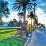 Wayne Phang - @wayne.phang - Instagram