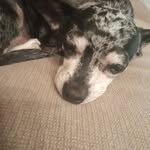 wayne phelan - @waynephelan02 - Instagram