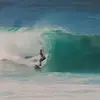 Wayne Phelan - @waynephelan8 - TikTok