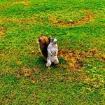 Wayne Phipps - @yukonjack70 - Instagram