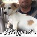 Wayne Phipps - Facebook