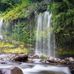 Wayne Phipps - Facebook