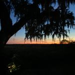 T Wayne Pickett - @twaynepickett - Instagram