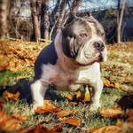 Wayne Pierce - @mr_wpierce - Instagram
