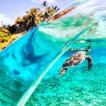 Wayen Pineda - @wayne_pineda - Instagram