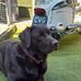 Wayne Pigney - Facebook