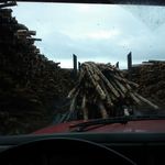 Wayne Pitts - @waynepitts1972gmail.com9 - Instagram