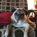 Wayne Pitts - @cslimman8 - Instagram