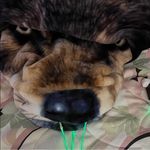 Wayne Pitts - @waynepitts5666 - Instagram