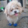 Brian Wayne Placente - @brian.wayne.place - TikTok