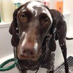 Bruce Wayne Plummer - @bruce.wayne.p - Instagram