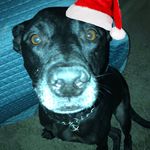 Bruce Wayne Plummer - @brucewayneplummer - Instagram