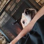 Clayton Wayne Plummer - @ecwiptgaming - Instagram