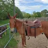 gregorywaynepoff - @gregorywaynepoff - TikTok