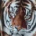 Wayne Painter - Facebook