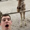 Wayne Poole - @waynep1102 - TikTok