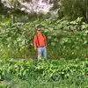 waynepoole1 - @wayne.pooleblondy - TikTok