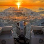 Wayne Postma - @wayne_postma - Instagram
