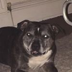 Wayne Price - @wayneyprice - Instagram