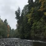 Wayne Prins - @wayne_prins - Instagram