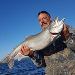 Wayne Provost - @wayne.provost.9480 - Instagram