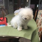 Wayne Provost - @wayne.provost.731 - Instagram