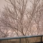 Wayne Purdy - @wayne.purdy.3745 - Instagram
